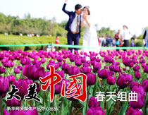 【新华图视】：春天组曲