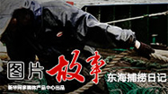 【新华图视】东海捕捞日记