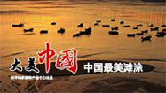 【新华图视】中国最美滩涂