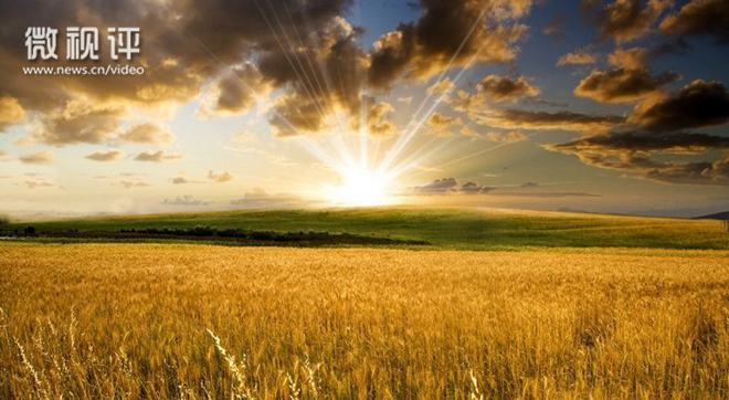 【新华微视评】你见过黑色农业吗？