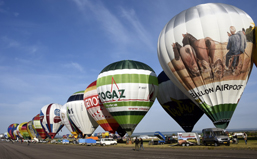 【新华图视】“天上来客”