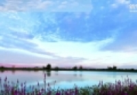 【新华图视】永远的戈壁湿地