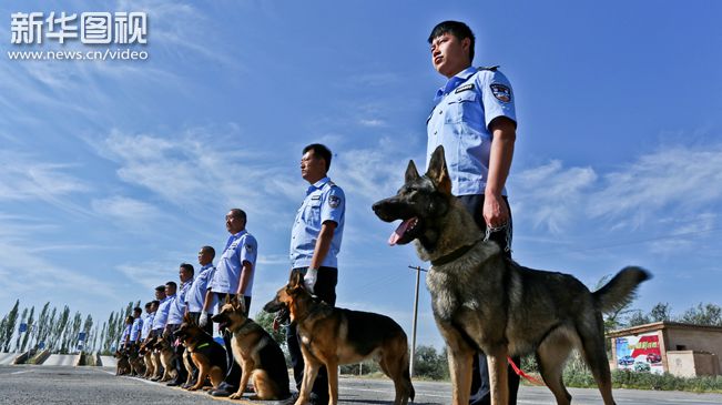 【新华图视】最忠实的“战士”