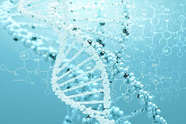 【健康解码】经常肠胃不适，可不是小毛病