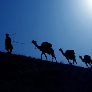 阿富汗政府正积极制定救援方案