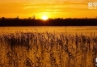 【新华图视】多彩张掖