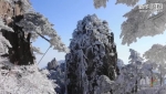 【新华图视】春日雪凇映美黄山