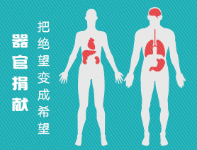 器官捐獻：把絕望變成希望，用生命延續生命