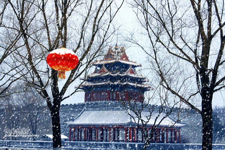 久违了 北京的雪