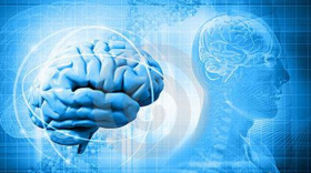 世界首例“换脑”手术或将于2020年进行