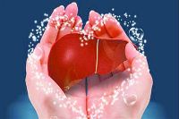 【健康解码】转氨酶正常肝脏就一定正常吗？