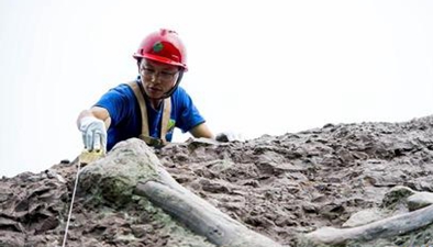 重庆云阳：恐龙化石抢救性发掘成果发布
