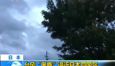 日本：台风“奥鹿”逼近日本四国岛