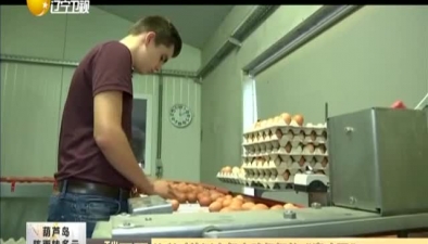 比利时检测出氟虫腈超标的&ldquo;毒鸡蛋&rdquo;