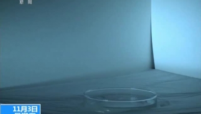 美国：科学家研制会游泳的蜜蜂机器人