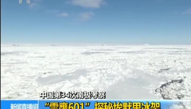 中國第34次南極考察：“雪鷹601”探秘埃默裏冰架