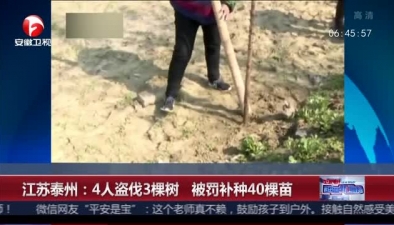 江苏泰州：4人盗伐3棵树 被罚补种40棵苗