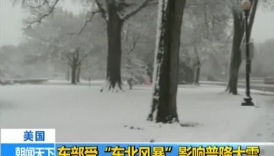 美國：東部受“東北風暴”影響普降大雪