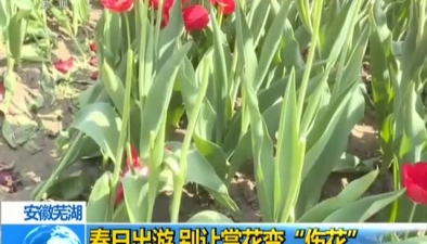 安徽蕪湖：春日出遊 別讓賞花變“傷花”
