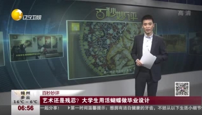 藝術還是殘忍？ 大學生用活蝴蝶做畢業設計