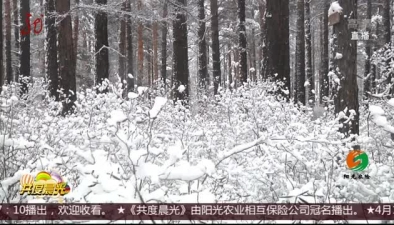 漠河：四月迎來暴雪 雪深達8厘米