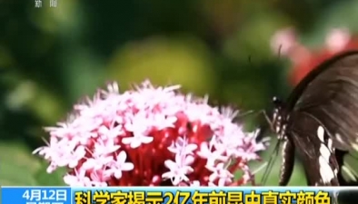 科學家揭示2億年前昆蟲真實顏色