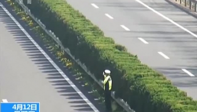 江蘇淮安：村民高速路上挖野菜 被安全帶離
