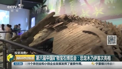 第六屆中國礦物寶石博覽會 恐龍木乃伊首次亮相