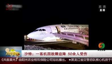 沙特：一客機因故障迫降 50余人受傷
