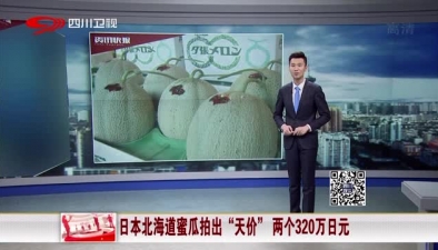 日本北海道蜜瓜拍出“天價” 兩個320萬日元