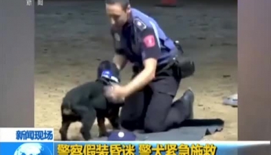 警察假裝昏迷 警犬緊急施救