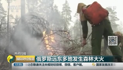 俄羅斯遠東多地發生森林大火