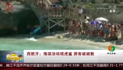 西班牙：海濱浴場現虎鯊 遊客被疏散