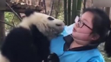 當飼養員碰上一個頑皮的大熊貓