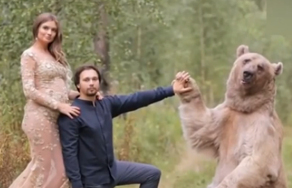 俄夫婦“與熊共舞”婚紗照