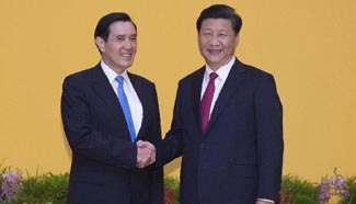 Video: Xi Jinping, Ma Ying-jeou meet, shake hands in Singapore