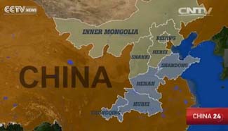 Snowfall hits large swath of northern China