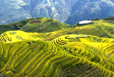 《中国武隆》亮相威尼斯电影节“聚焦中国”