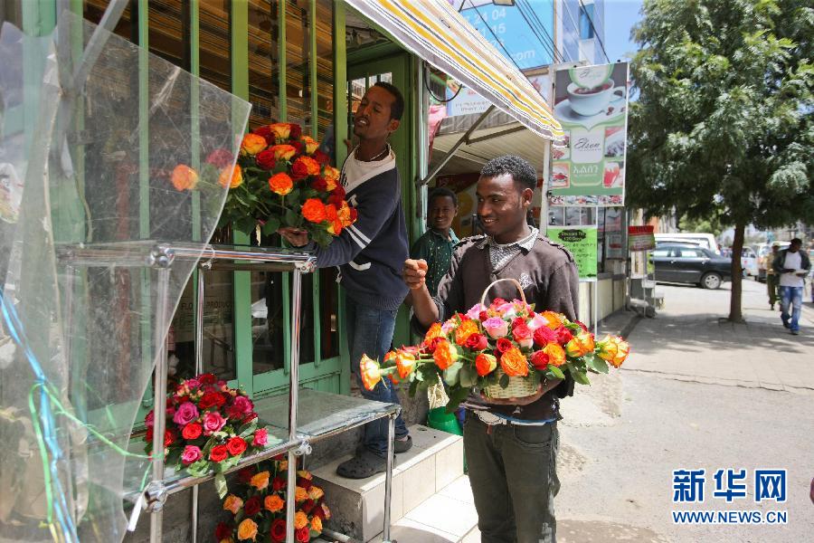 （国际&middot;出访配合）（1）&ldquo;鲜花之城&rdquo;亚的斯亚贝巴
