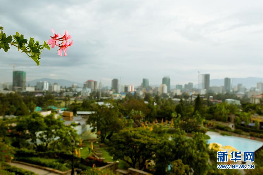 （国际&middot;出访配合）（3）&ldquo;鲜花之城&rdquo;亚的斯亚贝巴