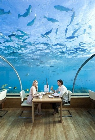 Ithaa餐厅发言人称：&ldquo;我们从水族馆建筑中获取灵感，允许客人在不湿身的情况下，尽情享受印度洋的美丽与宁静。&rdquo;