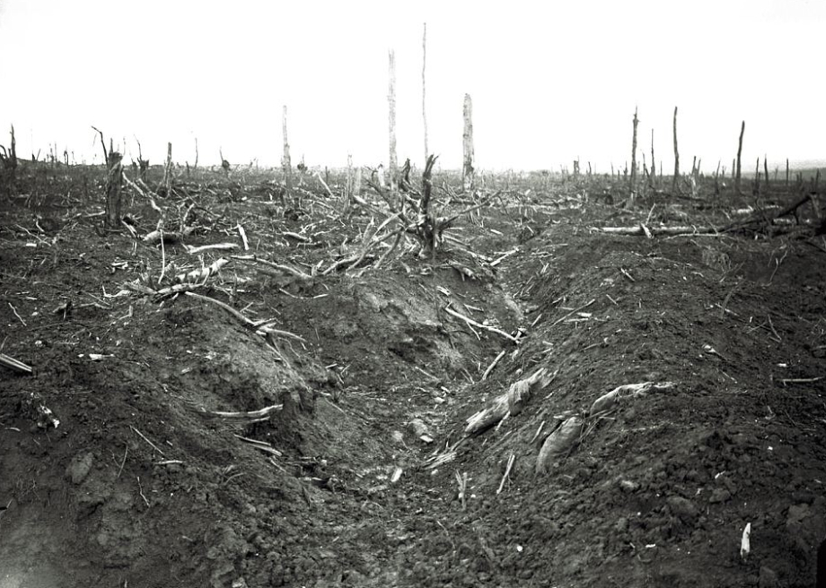 英资深摄影师公布一战照片 揭示战争绝望时刻