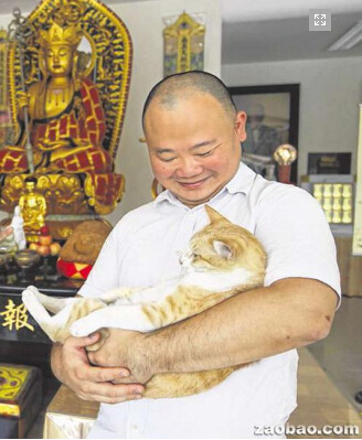 新加坡华人救助老弱病残流浪猫把养猫当修行（图）