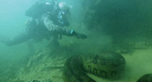 英国主持人在亚马逊河录制节目遇6米长恐怖巨蟒