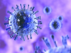 H1N1流感病毒