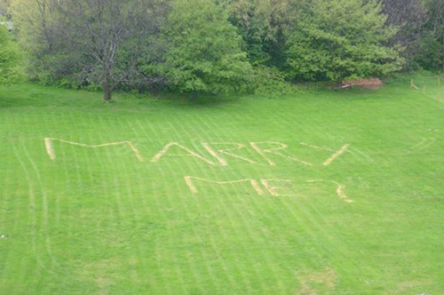 英园艺师在草坪上剪出&ldquo;嫁给我&rdquo;向女友求婚（图）