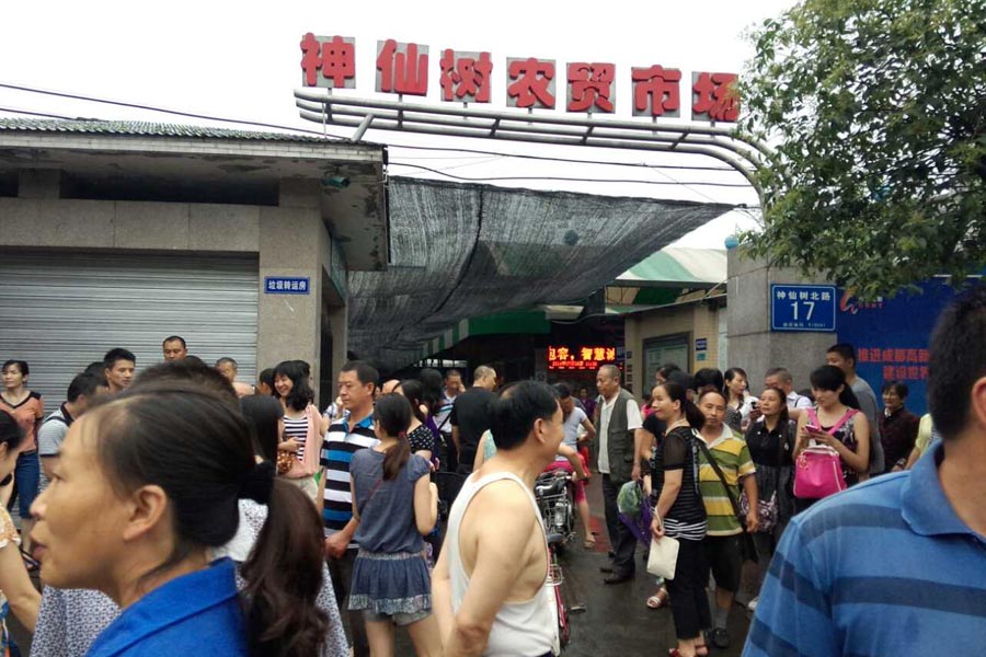 德国总理逛成都菜市场 亲付现金买豆瓣酱