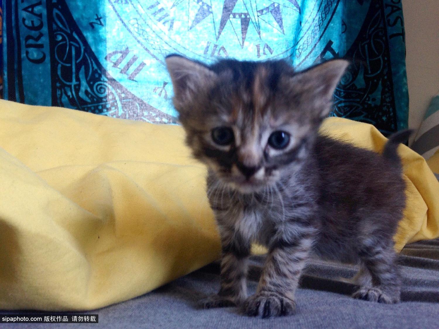 女性的悲哀（二） | 小说世界| 艺文| 世界新闻网, image size:1500x1125