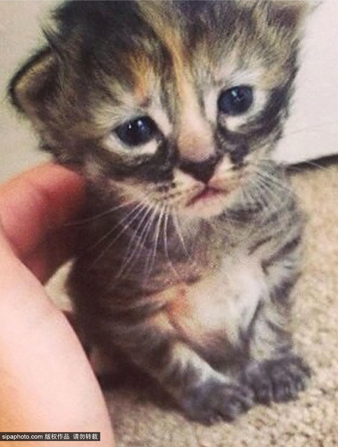 Chin Wai Kong - Chin Wai Kong added a new photo., image size:1133x1500