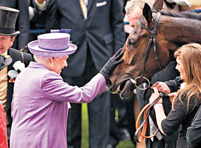 英国女王爱驹赛马屈居亚军药检吗啡呈阳性（图）